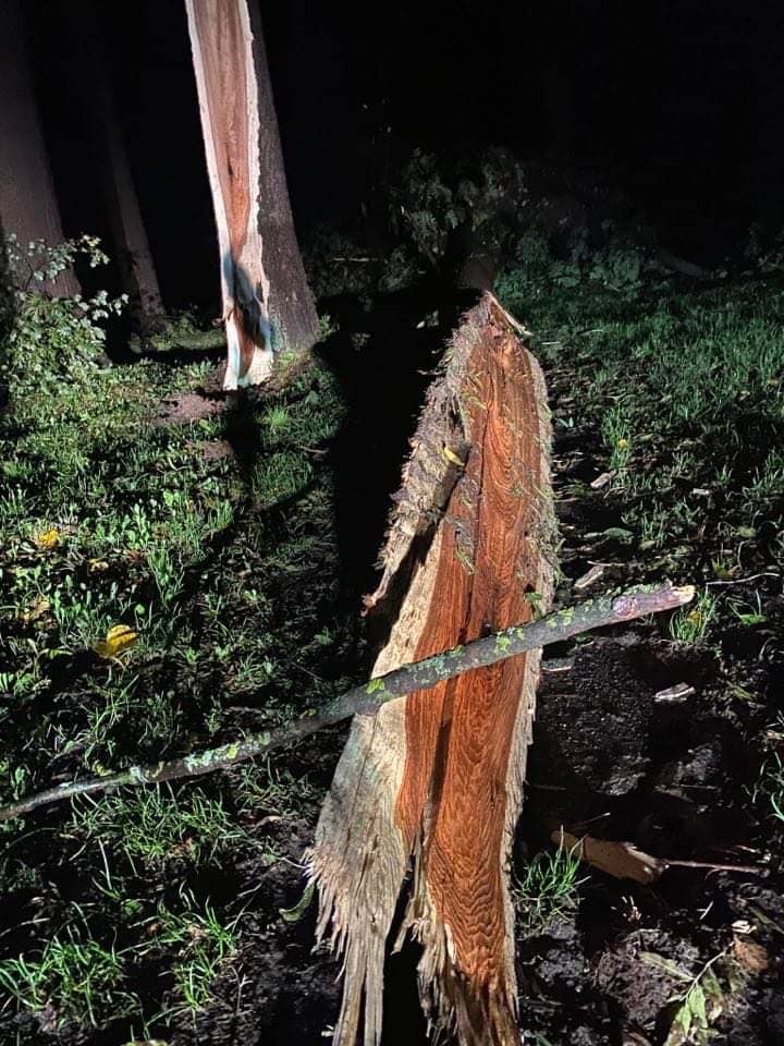 ФОТОФАКТ: В Івано-Франківську через негоду повалені дерева та лінії електропередач - фото 6