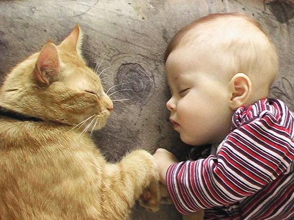 Двадцать фотографий, доказывающие, что ребёнку нужен кот - их очарование и теплота зашкаливает - фото 3