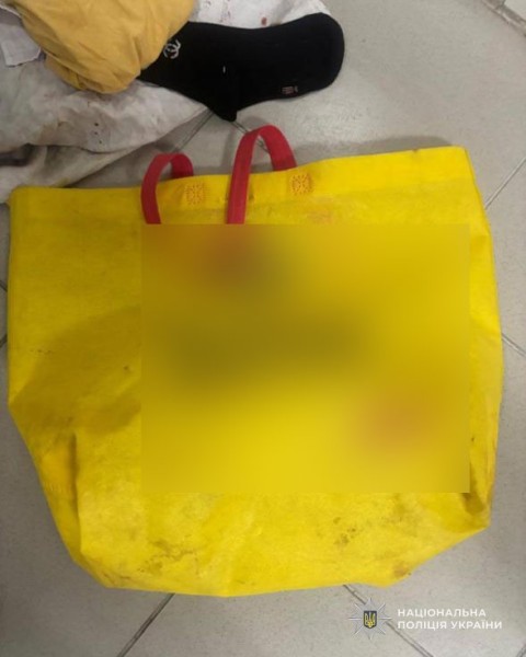 У під'їзді в Тернополі знайшли немовля в сумці: на вулиці сильний мороз - фото 2 У під'їзді в Тернополі знайшли немовля в сумці: на вулиці сильний мороз - фото 2