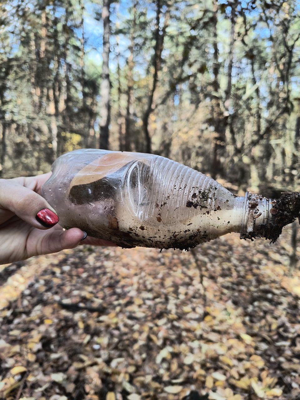 В Киевской области белый гриб вырос внутри пластиковой бутылки: фото необычного гриба - фото 2