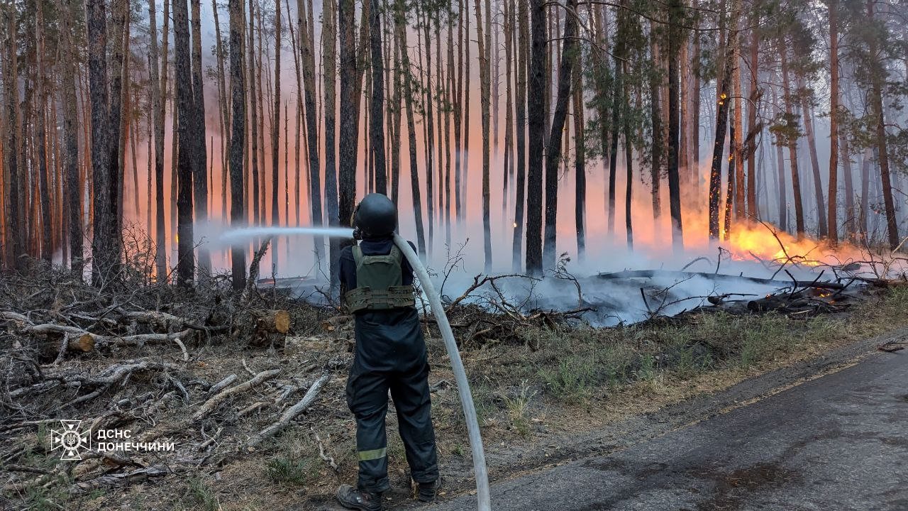 В Донецкой области ликвидировали самый масштабный пожар: последствия (ФОТО) - фото 8