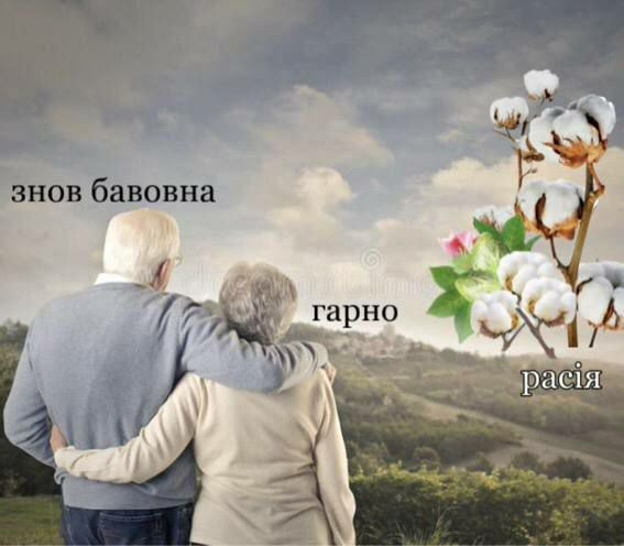 Що таке ”бавовна” і чому її так люблять українці - фото 2