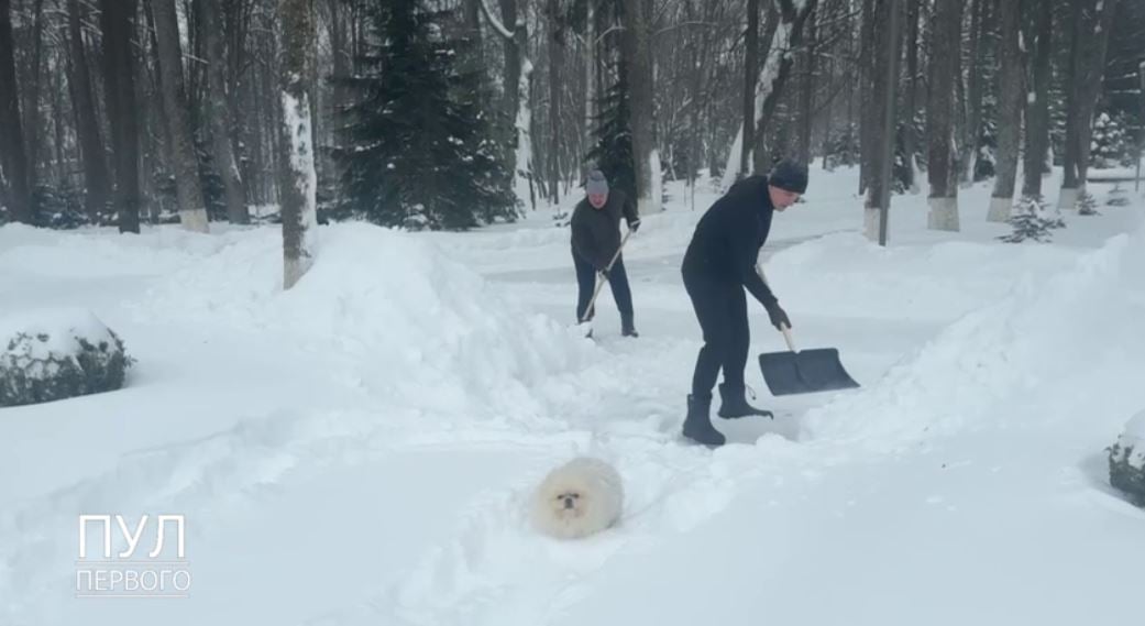 Лукашенко разом зі шпіцом Умкою вийшов прибирати сніг (ФОТО) - фото 2