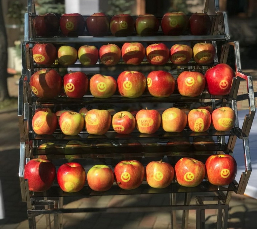 До Дня Незалежності: в якому з регіонів України виростили яблука з тризубом (ФОТО) - фото 6