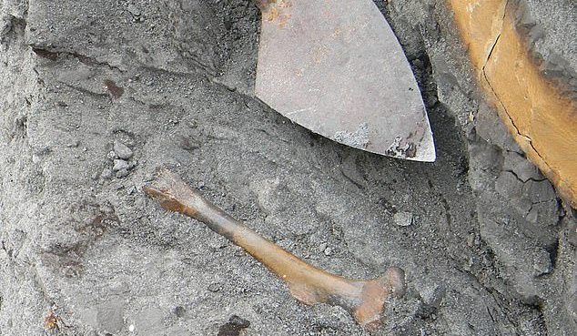 Археологи показали как виглядело доисторическое животное (фото) - фото 3
