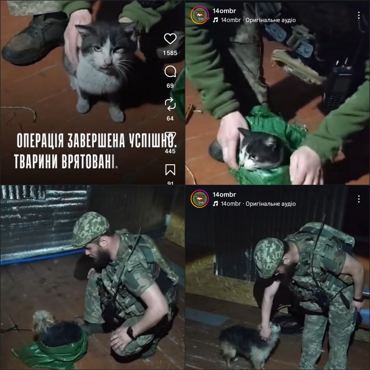 Марьяна Безугла жестоко отвечает людям об искусственном интеллекте и своем посте  - фото 2