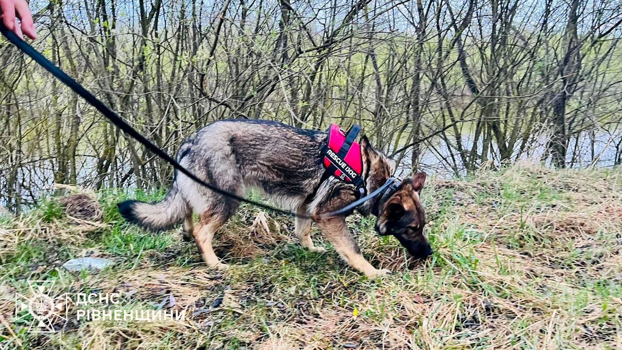 Два брата 3-х и 4-х лет пропали: продолжаются масштабные поиски - фото 2