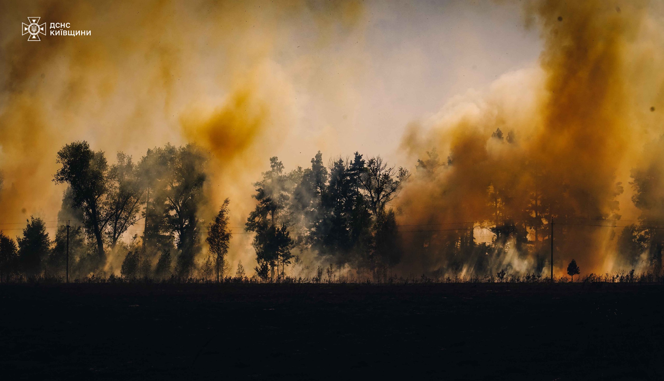 Надзвичайники трьох областей рятували від вогню село на Київщині - фото 2