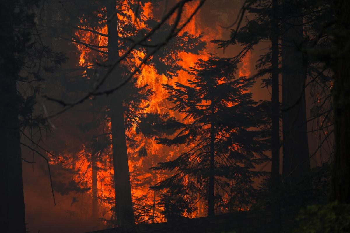Лесные пожары в США: огонь стремительно приближается к Лос-Анджелесу (ФОТО) - фото 4