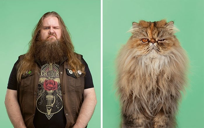 Доказать схожесть человека и кошки: попытка лондонского фотографа увенчалась успехом - фото 4