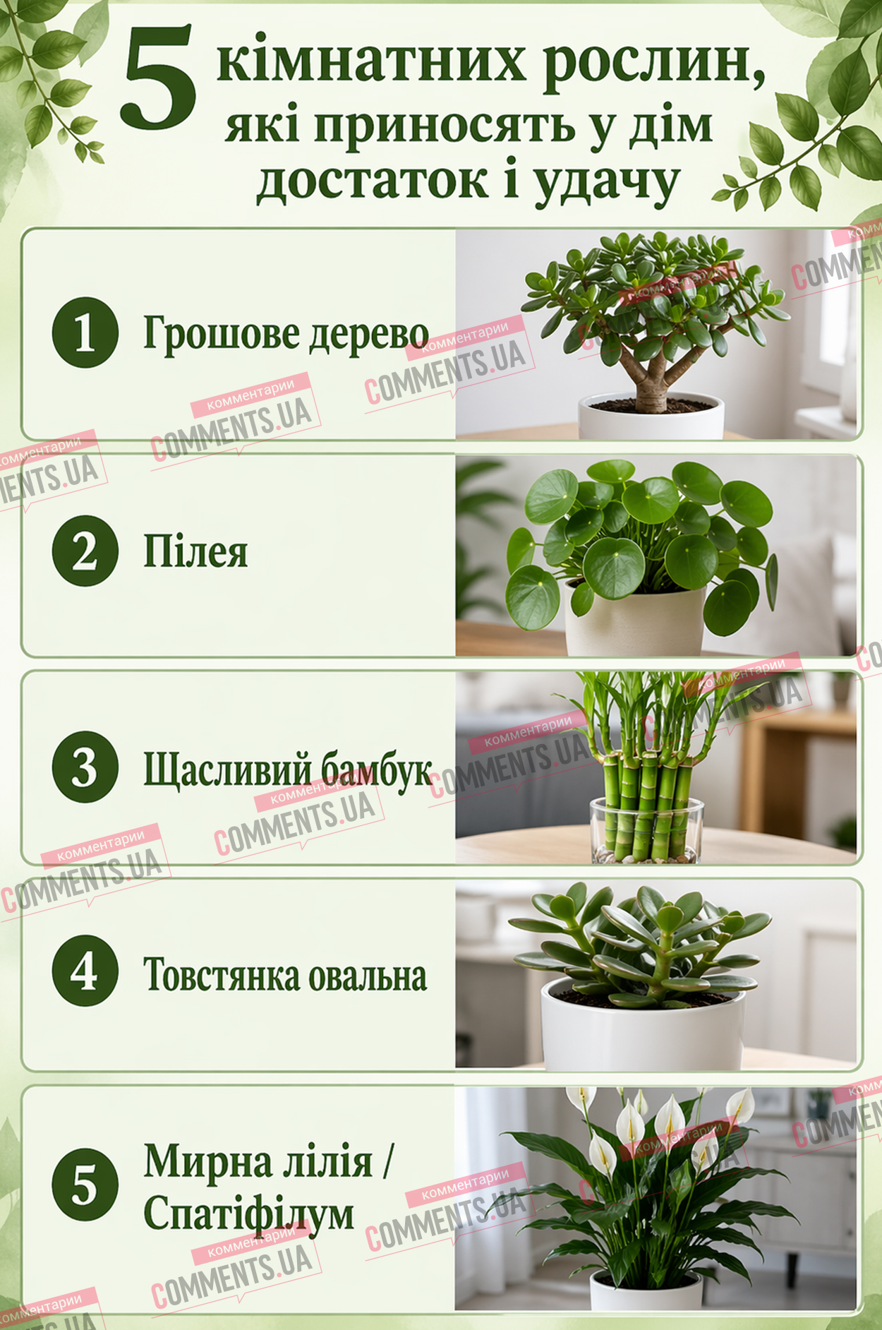 Деньги "растут" у вас дома: эти 5 растений могут изменить жизнь (ИНФОГРАФИКА)