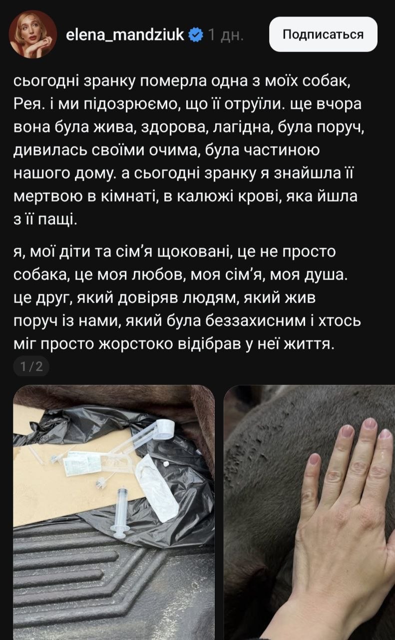 «Хтось просто жорстоко відібрав життя»: Олена Мандзюк пов'язує трагедію в родині зі своєю публічною позицією - фото 2