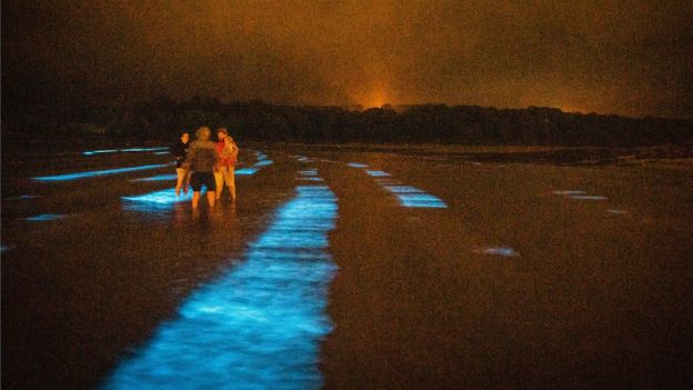 Відвідувачі пляжу в Ірландії стали свідками рідкісного природного світлового шоу - фото 4