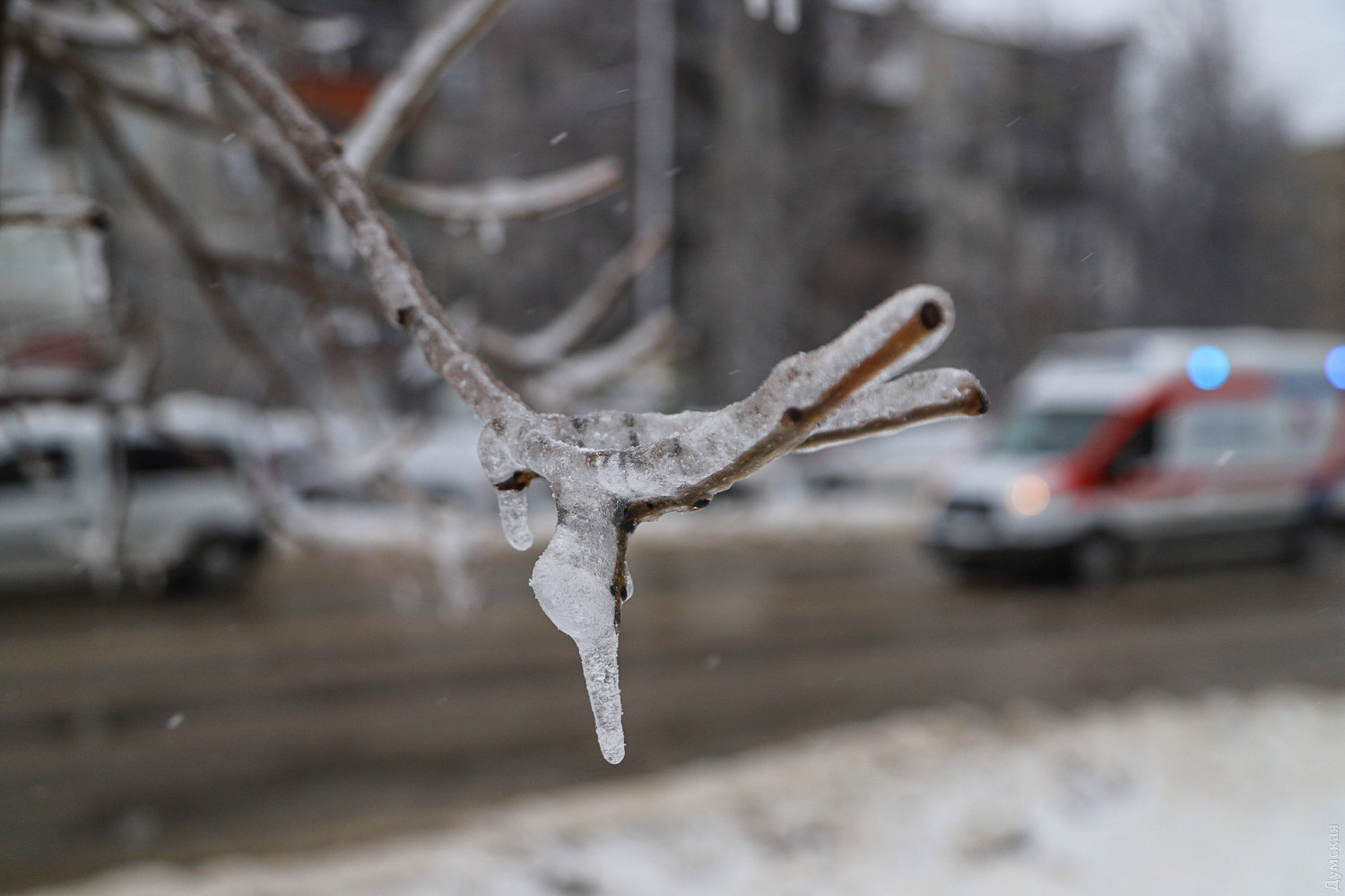 Цілодобові снігопади в Одесі: як місто справляється з негодою (ФОТО, ВІДЕО) - фото 5