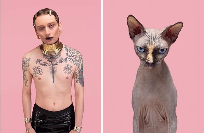 Довести схожість людини і кішки: спроба лондонського фотографа увінчалася успіхом - фото 11