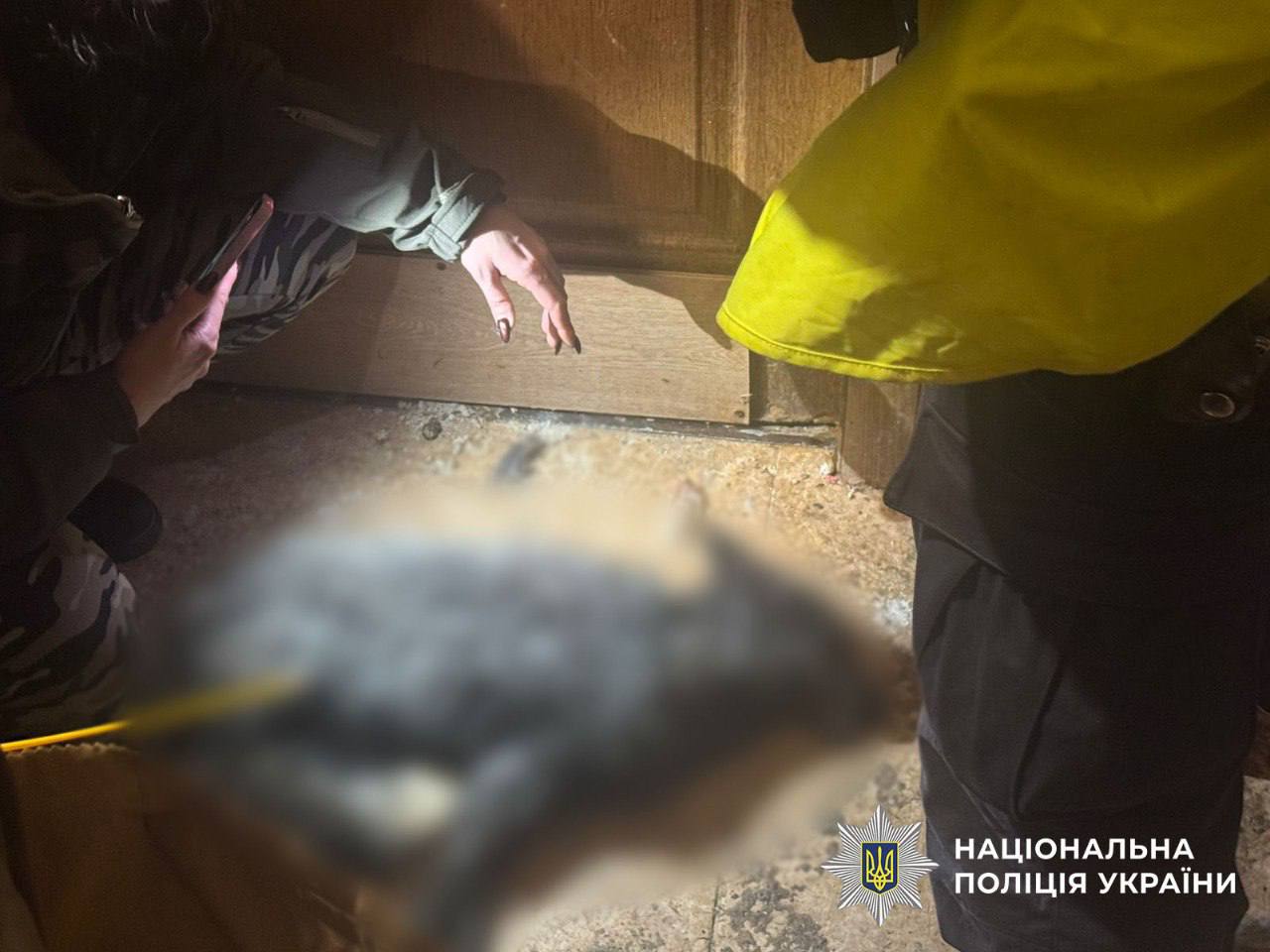 Киевлянка, кроме волка, держала в квартире еще одно дикое животное: что обнаружила полиция - фото 2