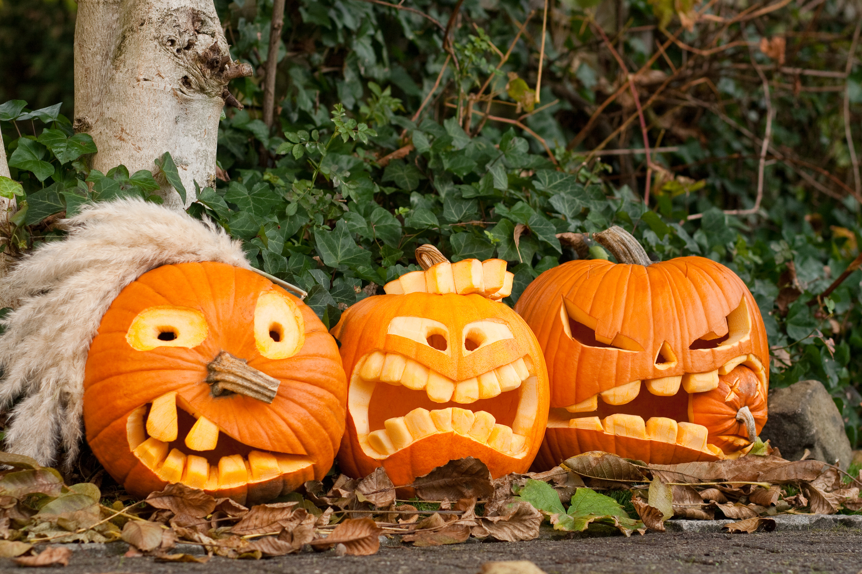 Страшно красивый эффект Хэллоуина: тыква и компания open air - фото 5