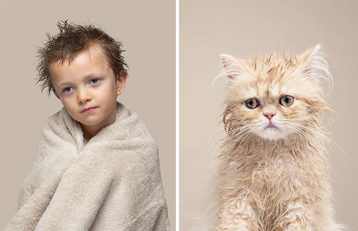 Доказать схожесть человека и кошки: попытка лондонского фотографа увенчалась успехом - фото 7