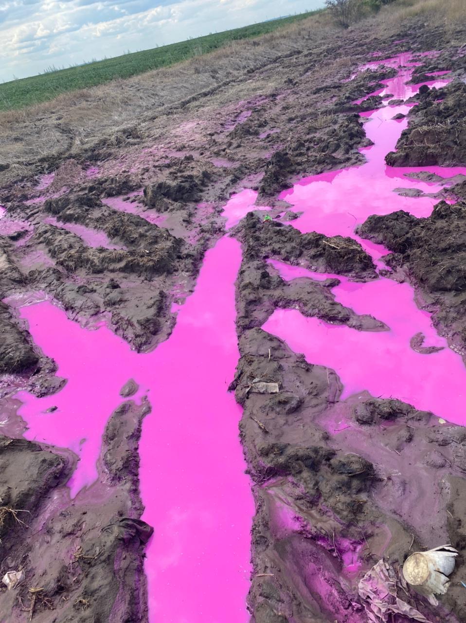 Возле Ровно нашли лужи с розовой жидкостью (ФОТО) - фото 2