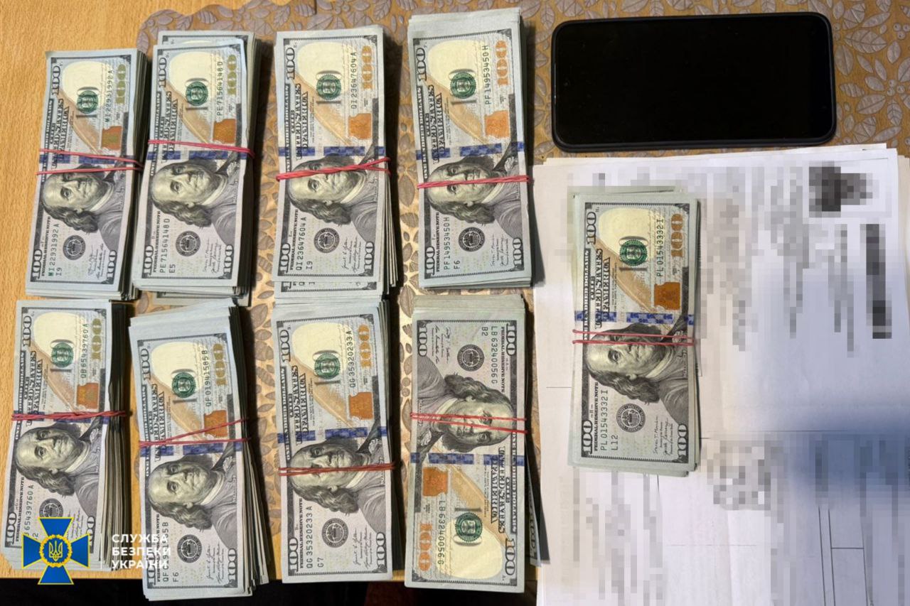 У очільниці районної ВЛК на Дніпропетровщині знайшли понад 300 тисяч доларів США - фото 2