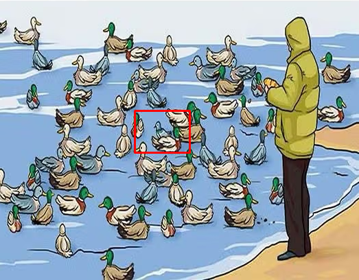 Тест на уважність, що збиває з пантелику: знайдіть помилку на зображенні - фото 2