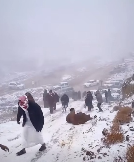 В Саудовской Аравии выпал снег: замело пустыню, верблюды в снегу (ФОТО, ВИДЕО) - фото 2