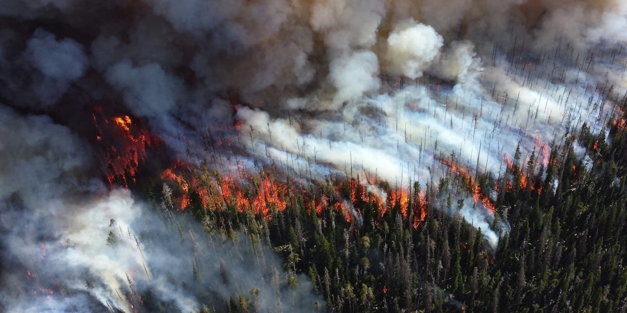 Границы лесного пожара. Лесные пожары. Лесной пожар вид сверху. Почвенный пожар. Пожар в лесу вид сверху.