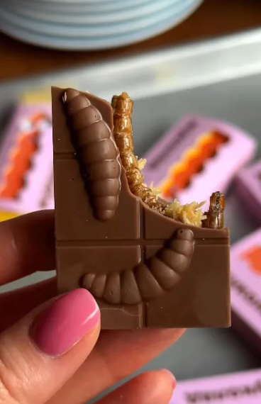 В Украине появился ”Жуколад”: шоколадный батончик с личинками жуков - фото 2 В Украине появился ”Жуколад”: шоколадный батончик с личинками жуков - фото 2