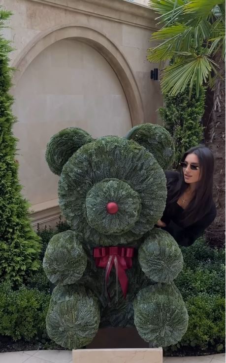 В Одессе в цветочном магазине появились медведи из елки: новый зимний тренд - фото 2