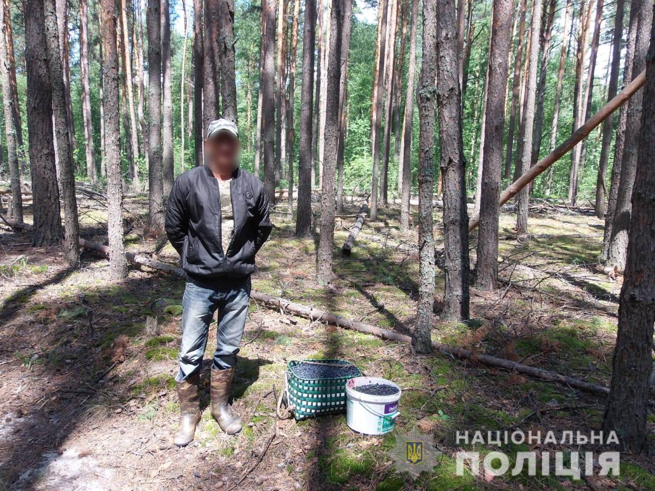 ФОТОФАКТ: Із Чорнобильської зони намагалися вивезти сотні кілограмів радіоактивних ягід - фото 3