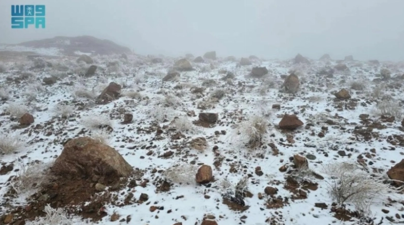 В Саудовской Аравии выпал снег: замело пустыню, верблюды в снегу (ФОТО, ВИДЕО) - фото 2