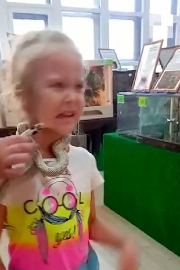 В зоопарке 5-летнюю девочку укусила за лицо ядовитая змея: что известно о состоянии ребенка - фото 3