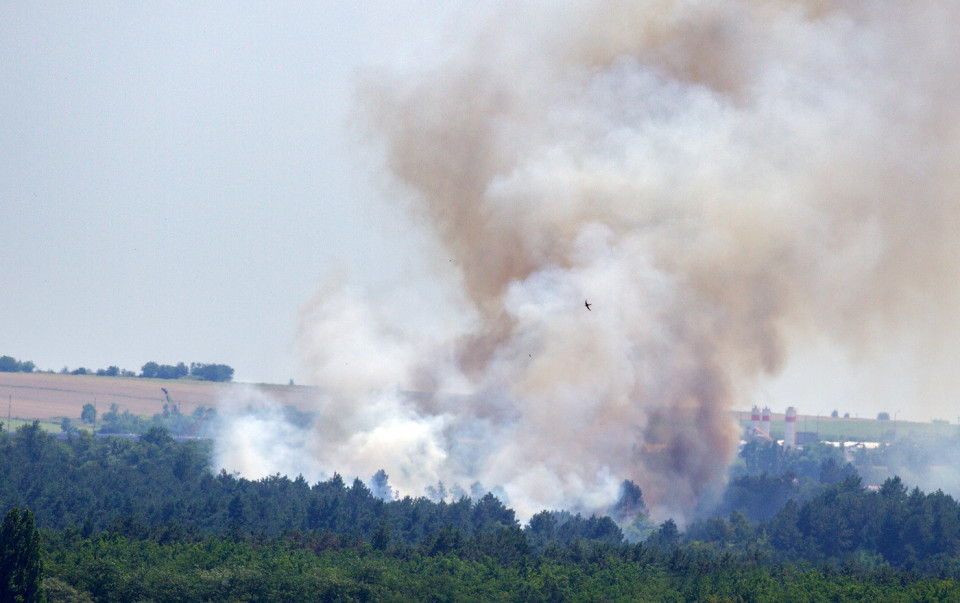 На острові Хортиця сталася масштабна пожежа: що про це відомо (ФОТО) - фото 2