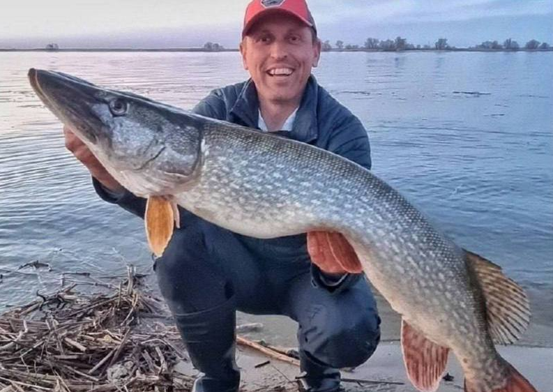 В Днепре рыбак поймал гигантскую трофейную щуку (ФОТО) - фото 2