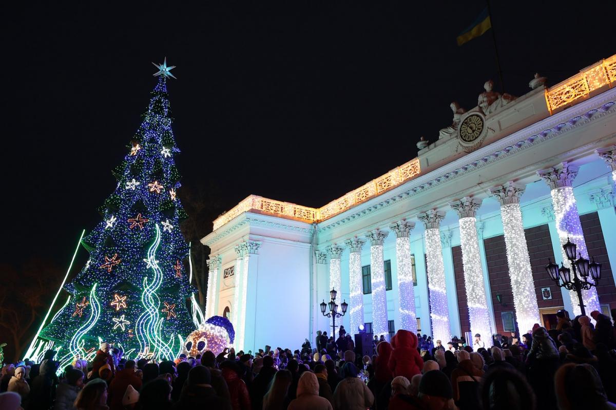 Самые дорогие и дешевые: в украинских городах подсчитали стоимость новогодних елок - фото 8