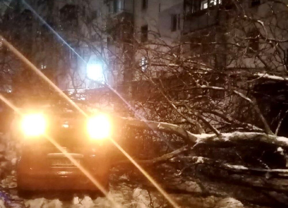 Цілодобові снігопади в Одесі: як місто справляється з негодою (ФОТО, ВІДЕО) - фото 26