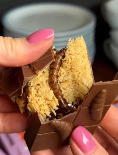 В Украине появился ”Жуколад”: шоколадный батончик с личинками жуков - фото 2 В Украине появился ”Жуколад”: шоколадный батончик с личинками жуков - фото 2