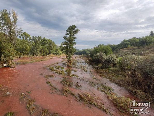 Вода в річці Інгулець у Кривому Розі стала червона - фото 3