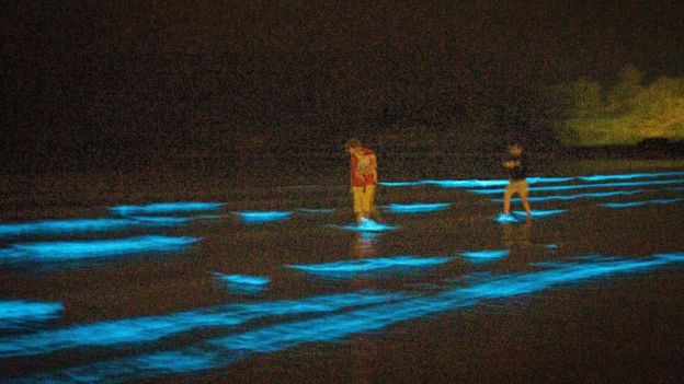 Відвідувачі пляжу в Ірландії стали свідками рідкісного природного світлового шоу - фото 3