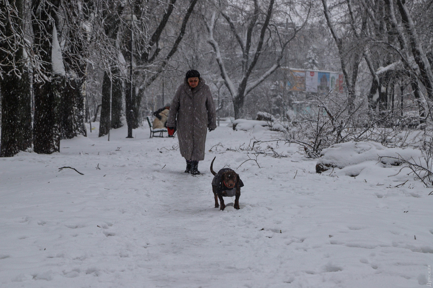 Круглосуточные снегопады в Одессе: как город справляется с непогодой (ФОТО, ВИДЕО) - фото 14