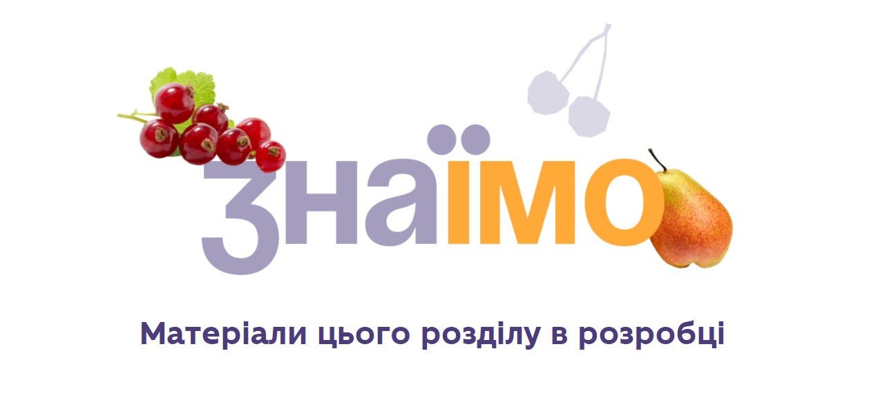 Болоньезе против сосисок: новое меню в реалиях школ Украины и как исправить ситуацию - фото 4