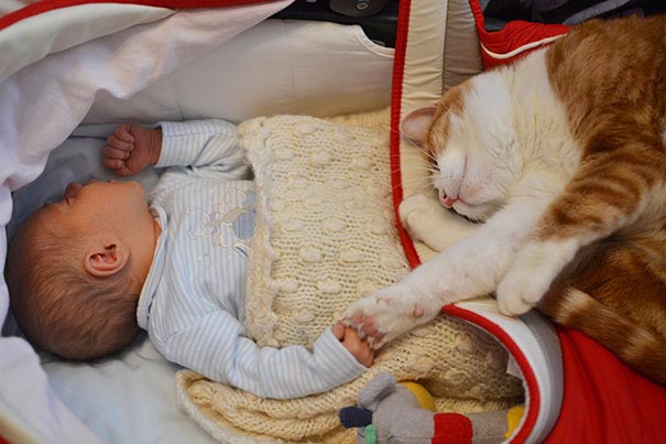 Двадцать фотографий, доказывающие, что ребёнку нужен кот - их очарование и теплота зашкаливает - фото 22