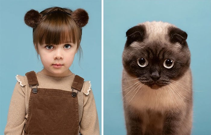 Довести схожість людини і кішки: спроба лондонського фотографа увінчалася успіхом - фото 6