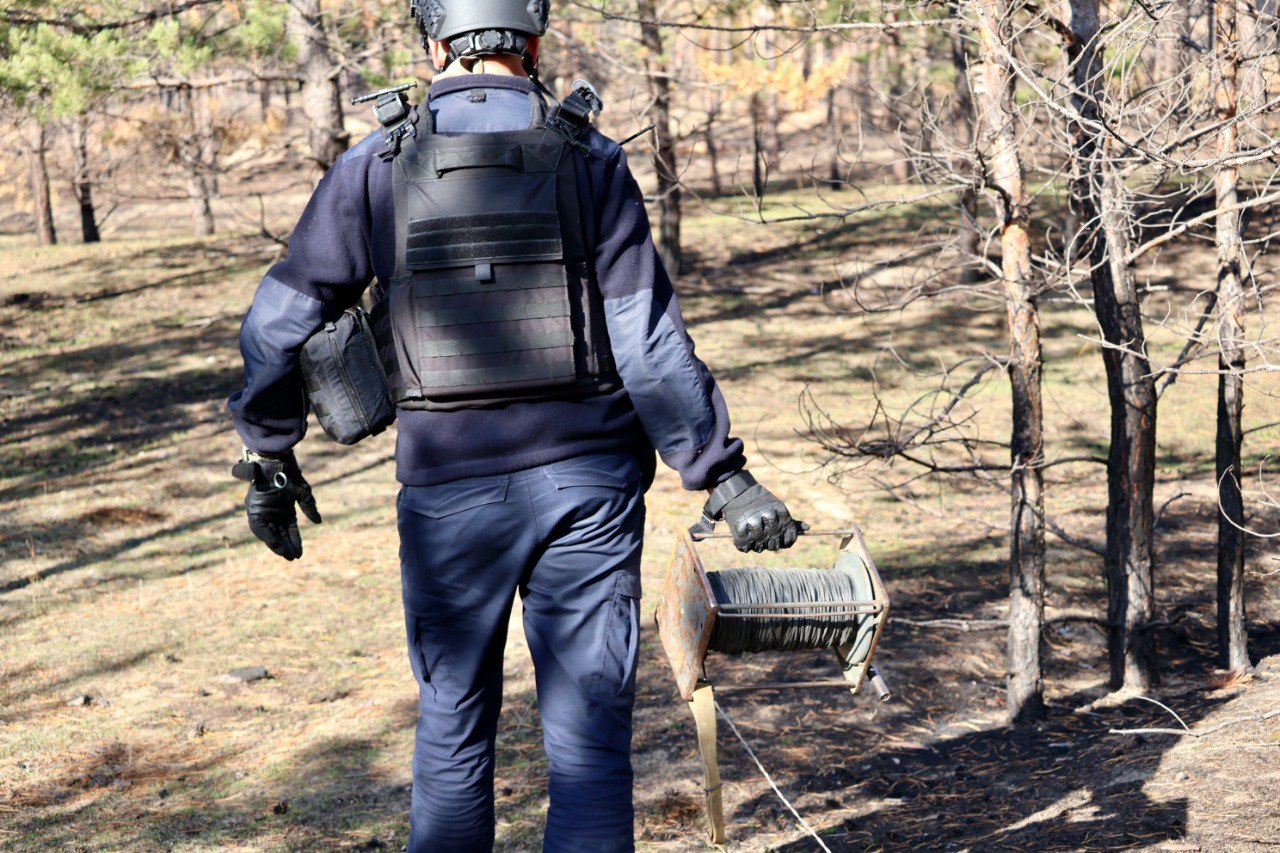 Небезпечний ліс: що виявили рятувальники на Донеччині - фото 5