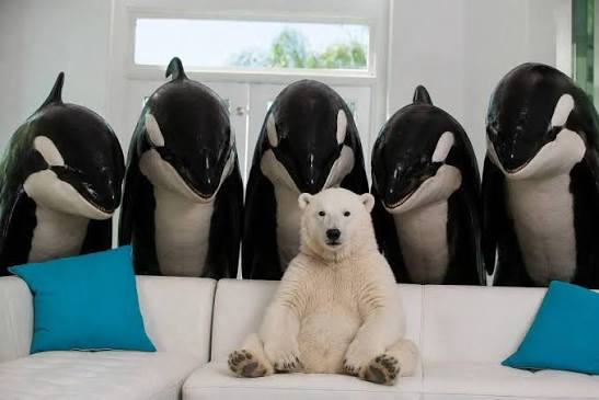 Жертва искусственного интеллекта: зачем Путин придумал басню о косатках, которые едят медведей - фото 2
