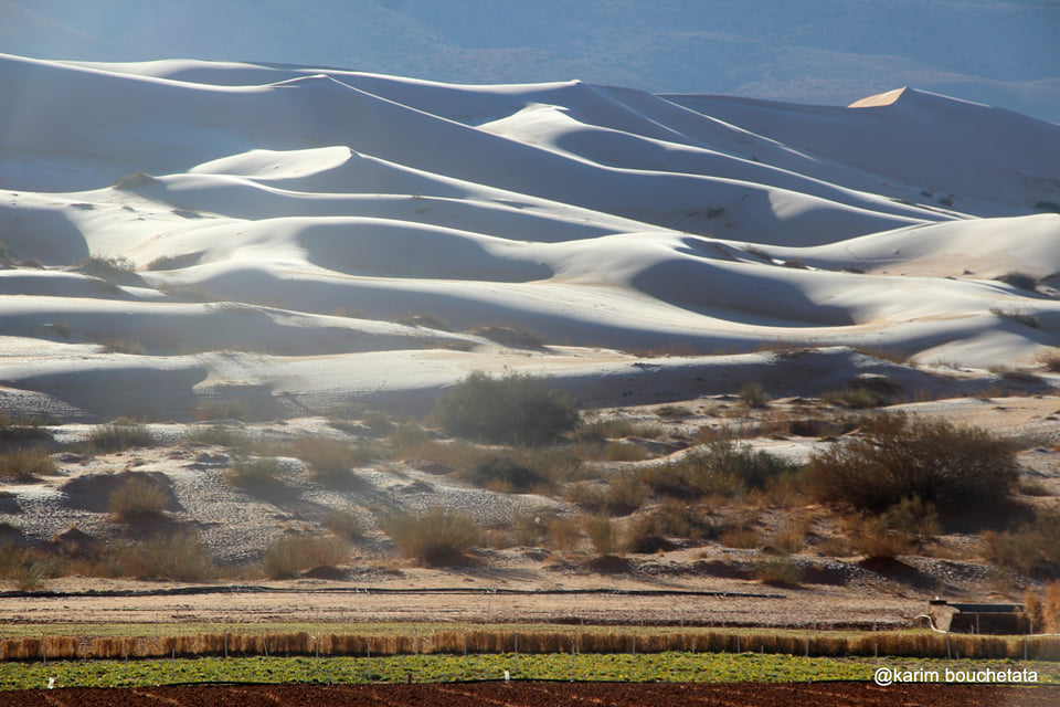 У пустелі Сахара випав сніг (ФОТО) - фото 3