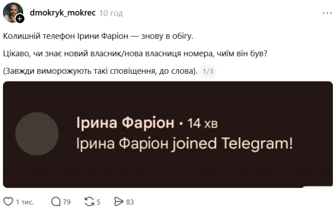 Номер Ирины Фарион ”ожил” в Telegram: появилось неожиданное фото из Таиланда - фото 2