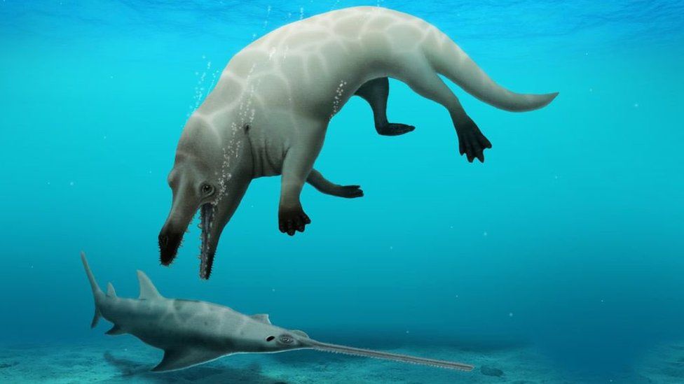 В Египте нашли останки кита с четырьмя лапами: как он выглядел (ФОТО) - фото 2
