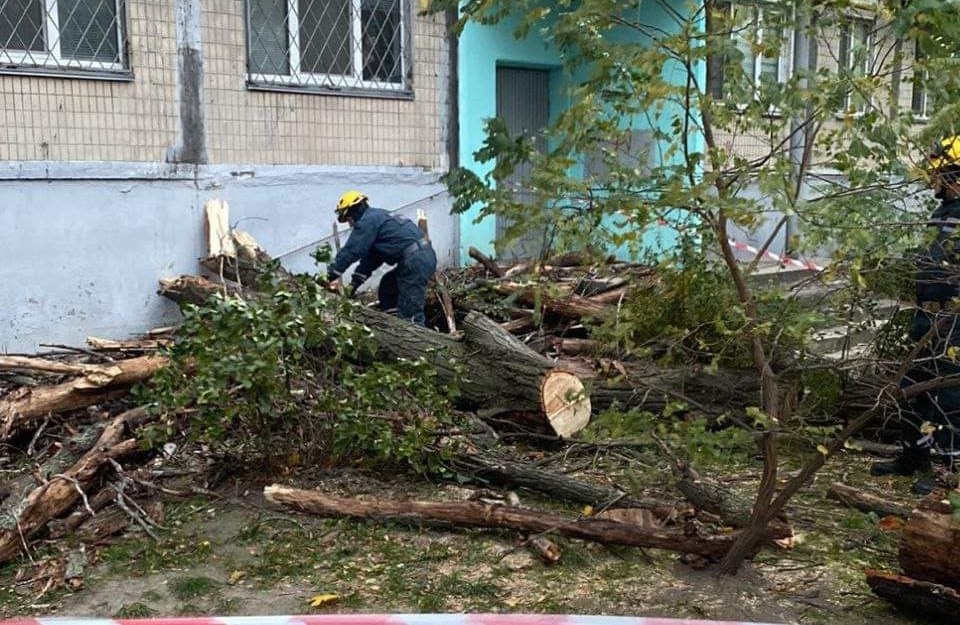 У Києві та Дніпрі негода валить дерева, рекламні щити та зупинки (ФОТО, ВІДЕО) - фото 2