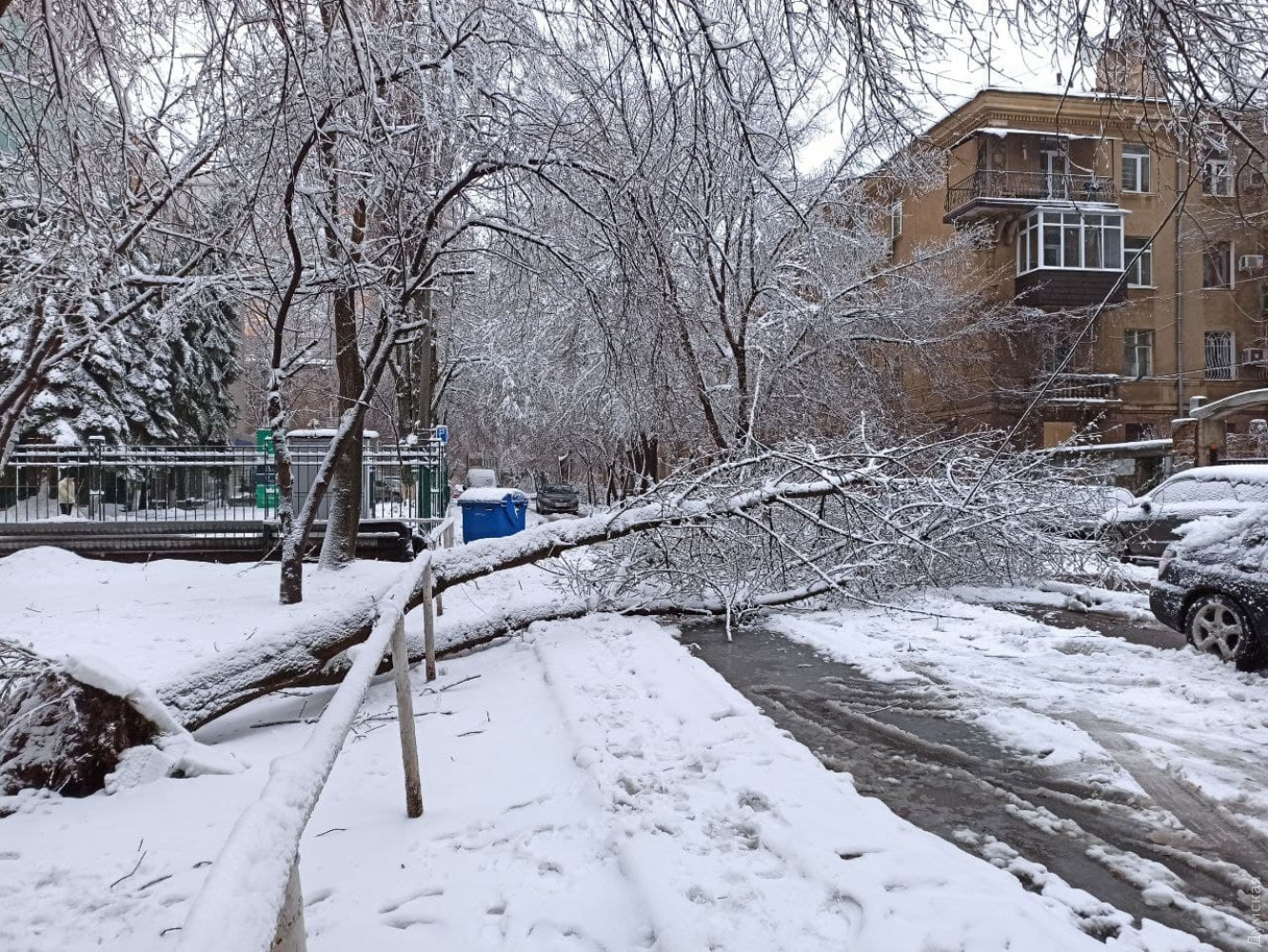 Цілодобові снігопади в Одесі: як місто справляється з негодою (ФОТО, ВІДЕО) - фото 9